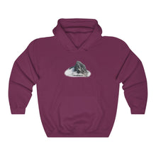 Load image into Gallery viewer, MOUNT TD HOODIE
