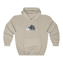 Load image into Gallery viewer, MOUNT TD HOODIE