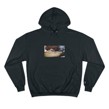 Load image into Gallery viewer, THE FALL OF THE REBEL ANGELS CHAMPION HOODIE
