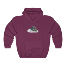 Load image into Gallery viewer, MOUNT TD HOODIE
