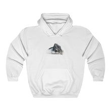 Load image into Gallery viewer, MOUNT TD HOODIE
