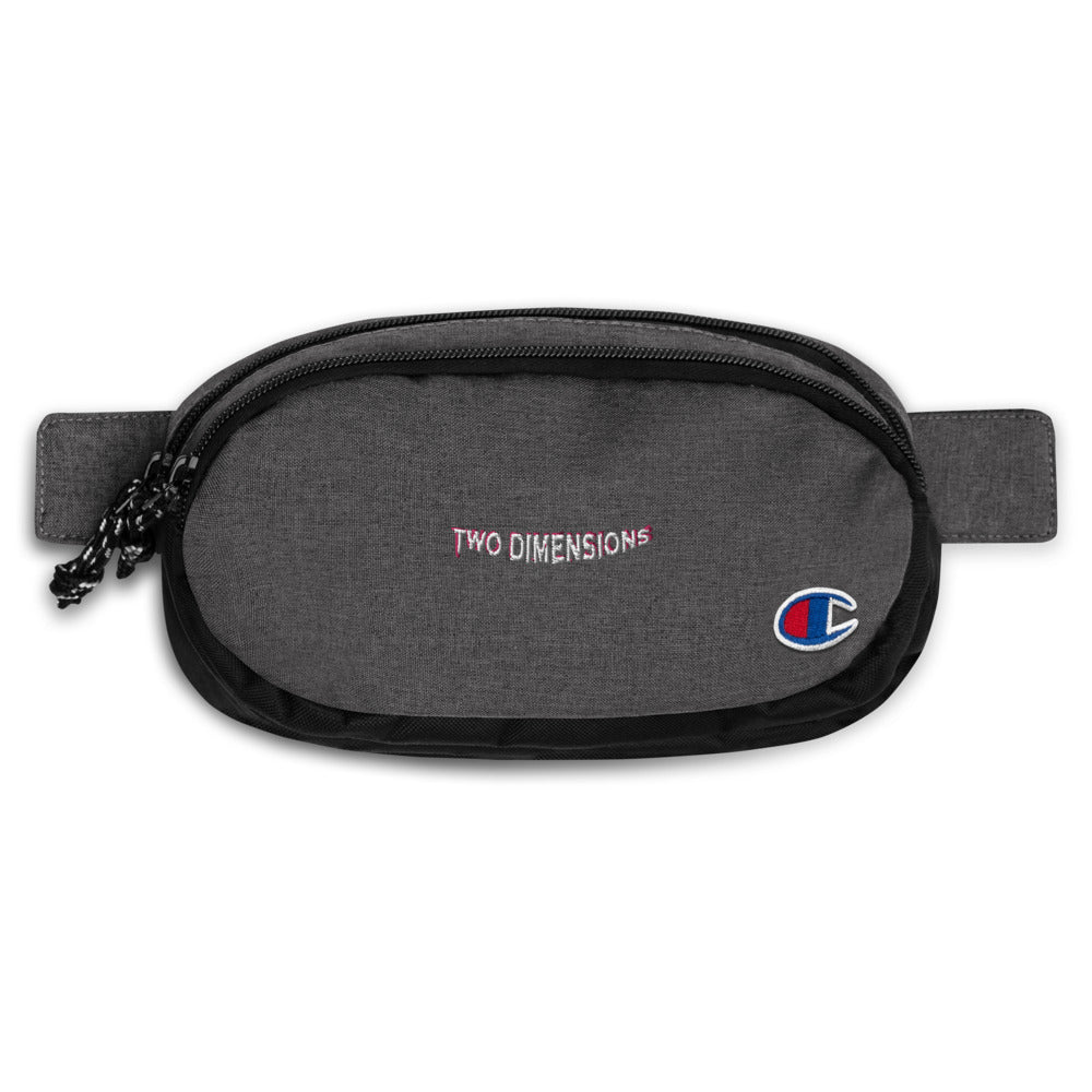 Two Dimensions X Champion fanny pack